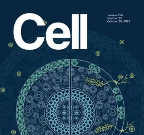 祝賀王二濤老師團(tuán)隊(duì)又一佳作榮登Cell期刊！