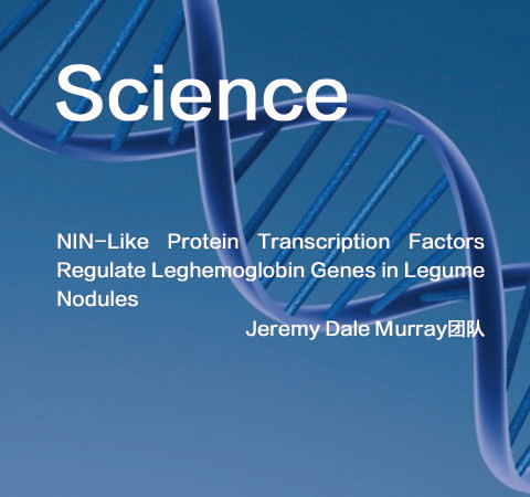 祝賀Jeremy Dale Murray團(tuán)隊佳作榮登Science期刊！