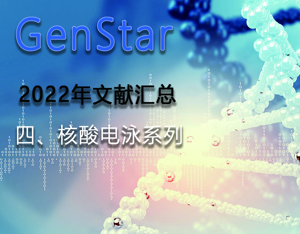 GenStar 2022年文獻(xiàn)匯總（四、核酸電泳系列）